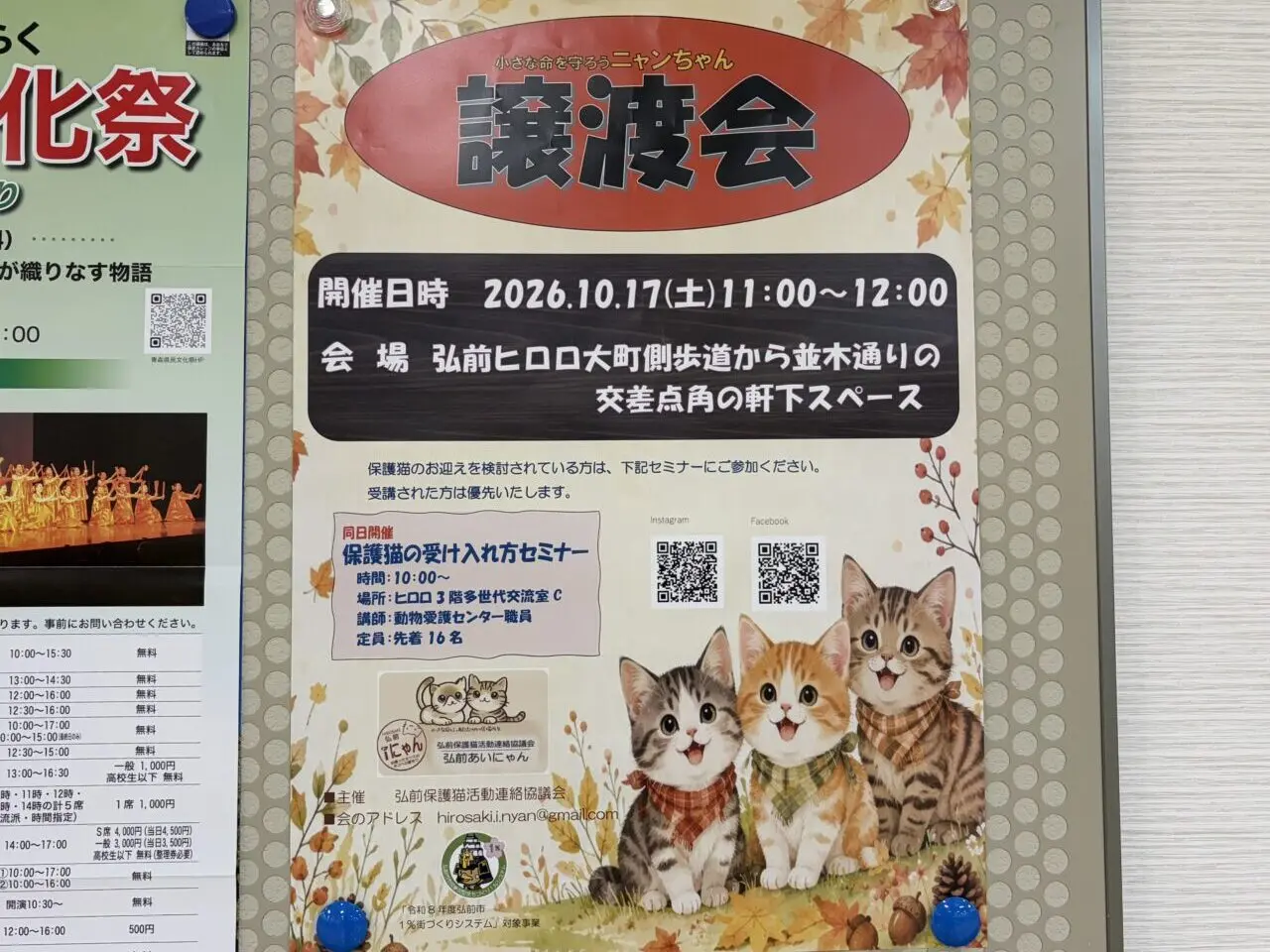 猫譲渡会