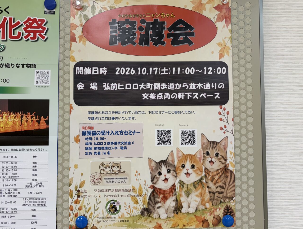 猫譲渡会