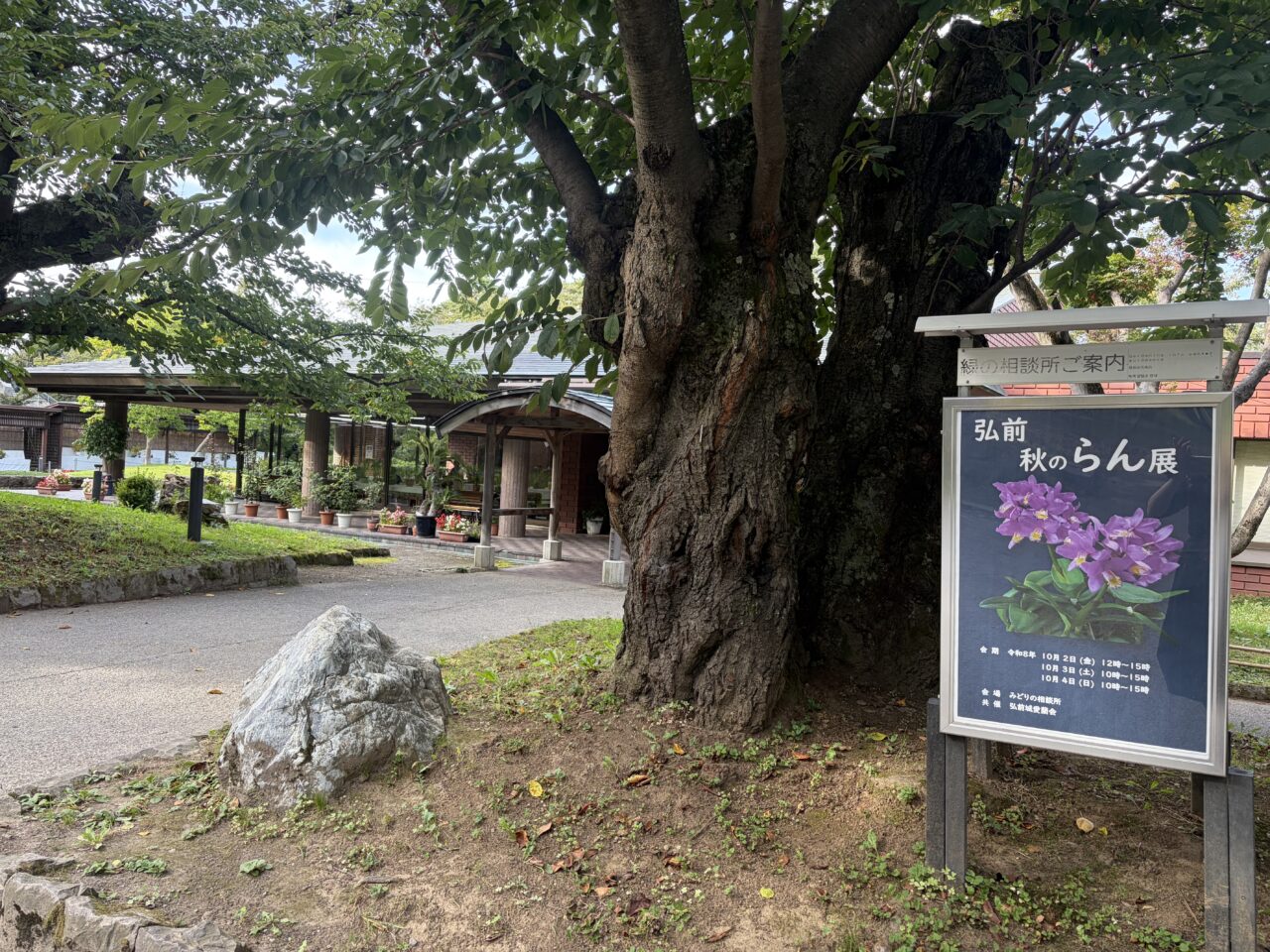 秋のらん展