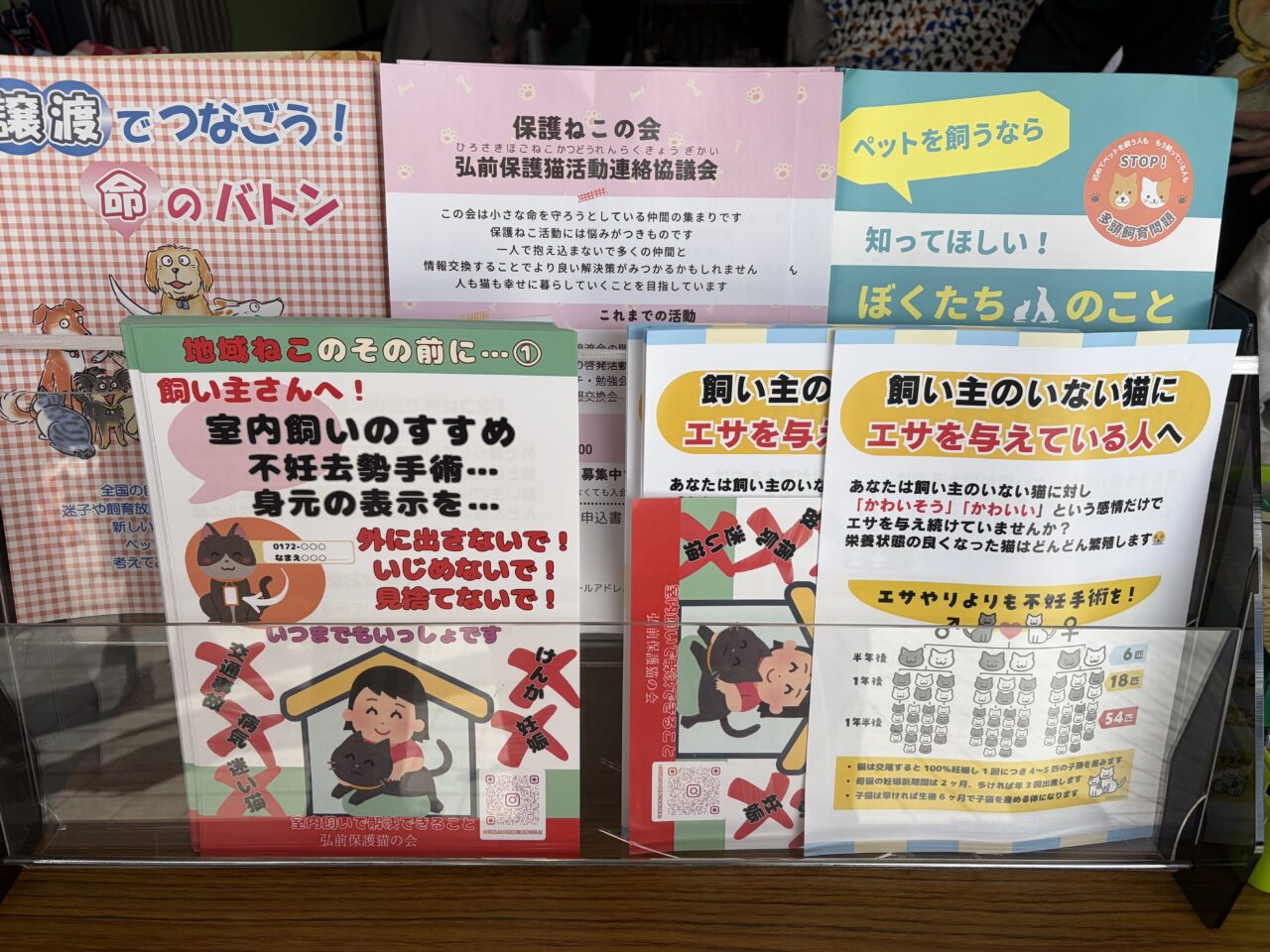 猫譲渡会